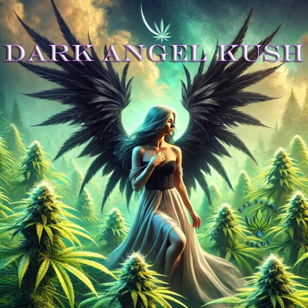 Dark Angel Kush