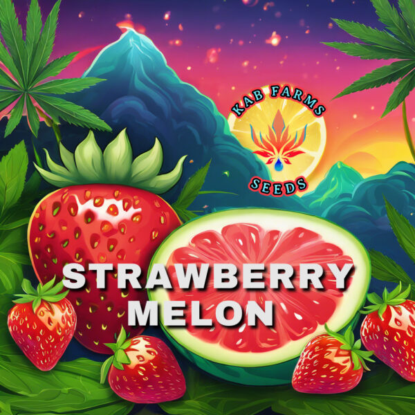 Strawberry Melon